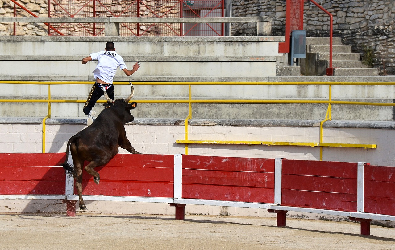 电话