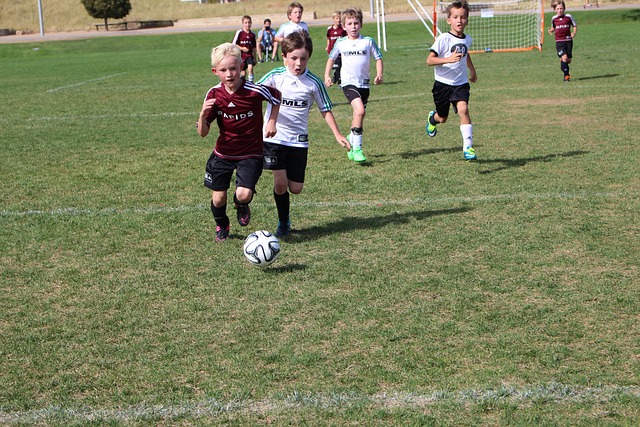 联手拼搏的 联手拼搏的