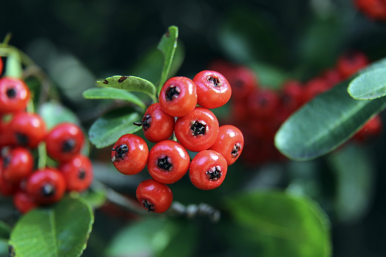 稳定发挥连 稳定发挥连