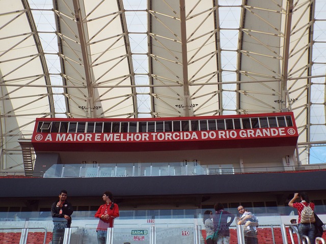 成为决定命 成为决定命