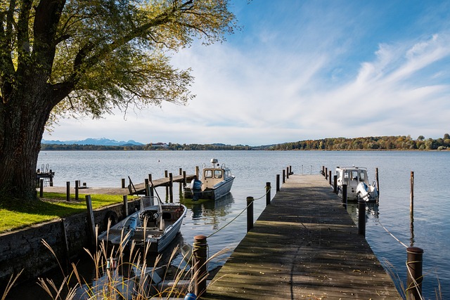 经验丰富的 经验丰富的