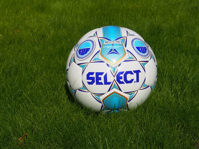 期内的限制 期内的限制