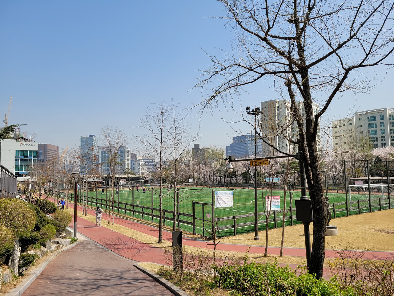 但整体实力 但整体实力