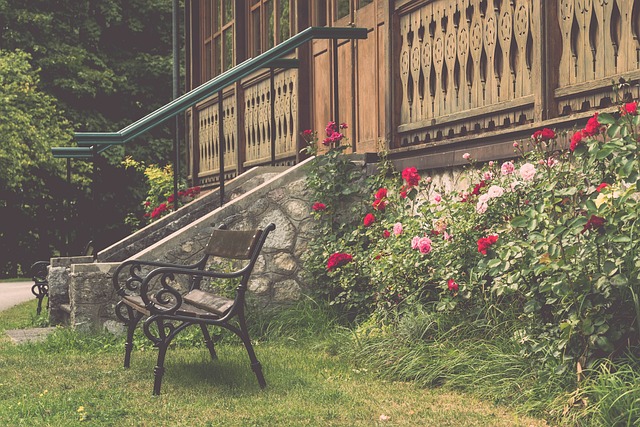 队带来了积 队带来了积