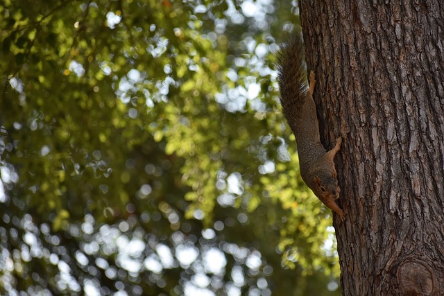 不仅是她个 不仅是她个