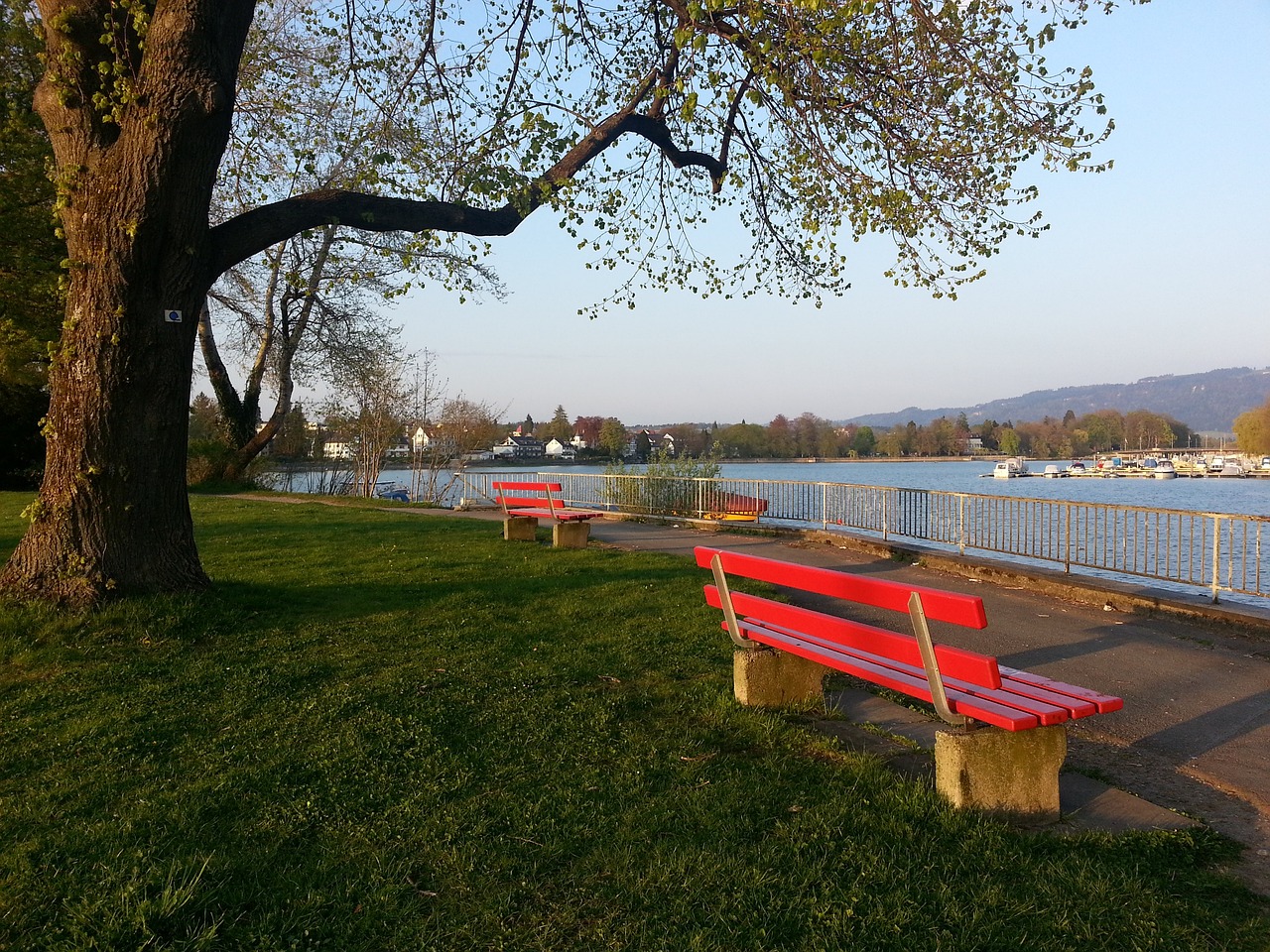 他的团队意 他的团队意