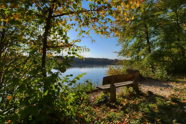 威少因运球 威少因运球